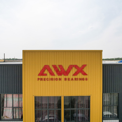 Shandong Awx Bearing  Co., Ltd. 제조업체의 생산 라인